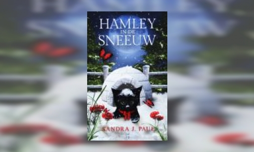Plaatje Hamley in de sneeuw