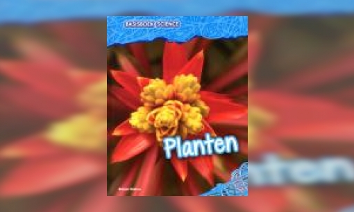Plaatje Planten