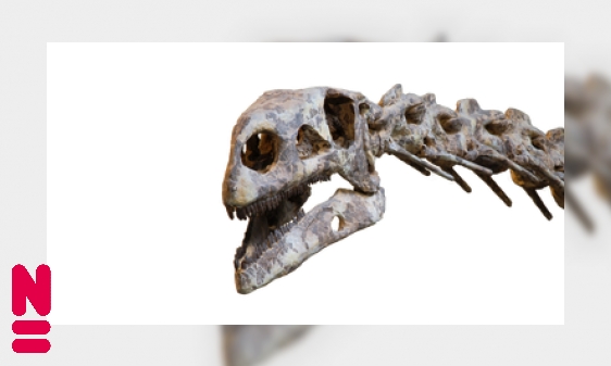 Plateosaurus: de reus van het Trias