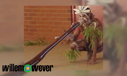 Waarom spelen Aboriginals op een didgeridoo en hoe wordt een didgeridoo gemaakt?