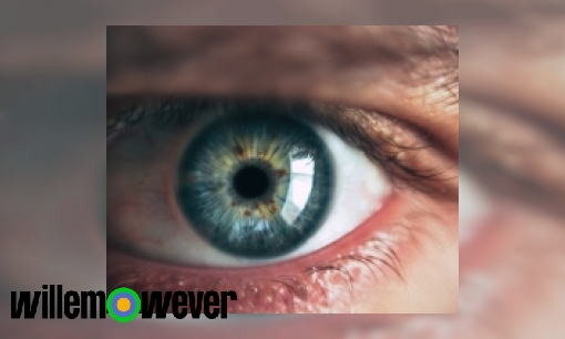 Wat zit er in het oogbal van een mens?