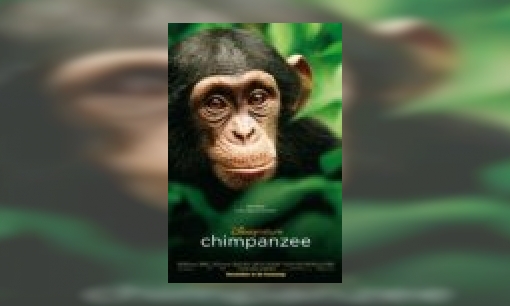 Chimpanzee (de film)