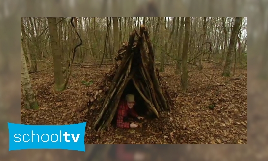 Hoe bouw je een hut in het bos?