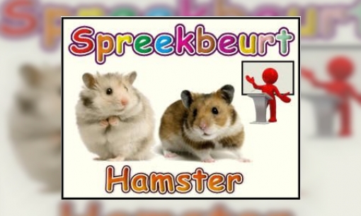 Spreekbeurt Hamster