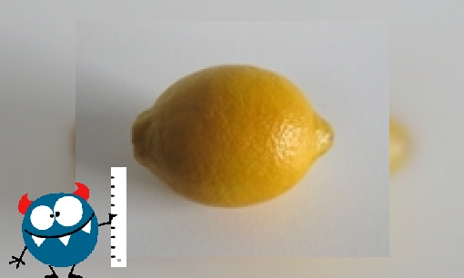 Schokkende citroen