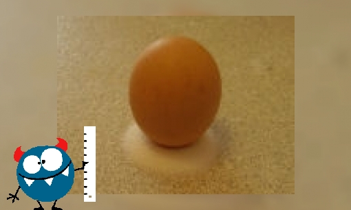 Kun jij een ei rechtop zetten zonder het te breken?