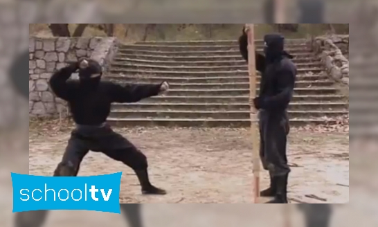 Ninja’s kunnen zichzelf onzichtbaar maken - Is het snugger of kletspraat?