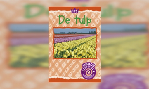 De tulp