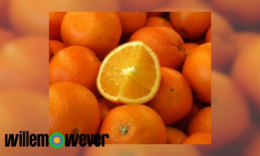 Wat zijn citrusvruchten?
