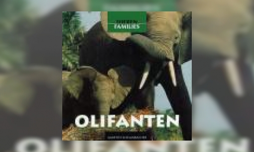 Plaatje Olifanten