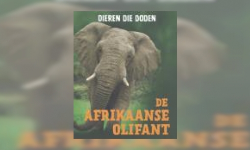 Plaatje De Afrikaanse olifant