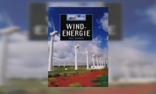 Plaatje Windenergie