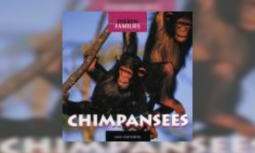 Plaatje Chimpansees