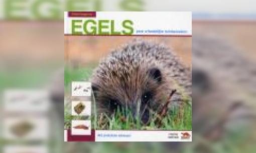 Plaatje Egels : onze vriendelijke tuinbezoekers