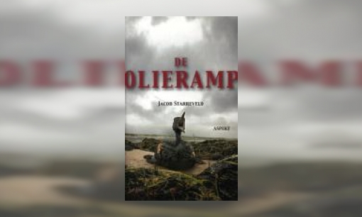 Plaatje De olieramp : roman