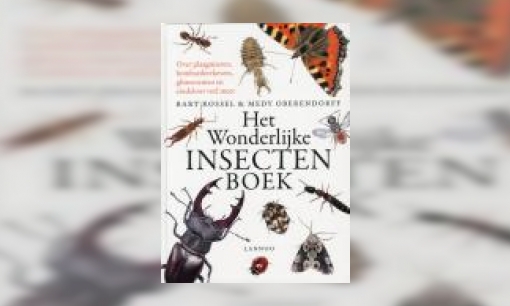 Plaatje Het wonderlijke insectenboek : over plaagmieren, bombardeerkevers, glimwormen en eindeloos veel meer