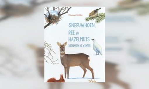 Plaatje Sneeuwhoen, ree en hazelmuis : dieren in de winter