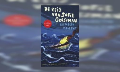 Plaatje De reis van Sofie Grossman