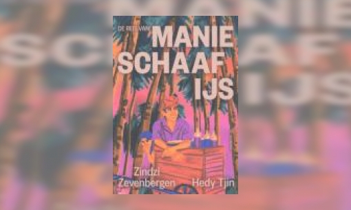 Plaatje De reis van Manie Schaafijs
