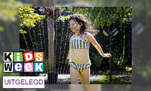 Plaatje Met deze 7 survivaltips bij hitte kom jij de warme dagen door