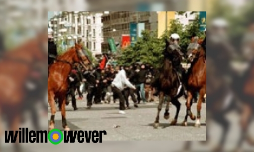 Plaatje Hoe worden paarden politiepaarden?