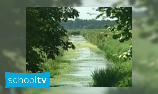 Plaatje Landschap hoogveen