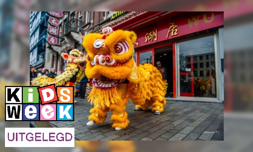 Plaatje Chinees Nieuwjaar: het Jaar van de Slang begint