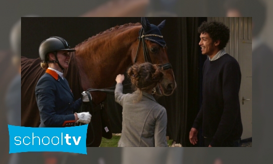 Plaatje Hoe verzorg je een dressuurpaard?