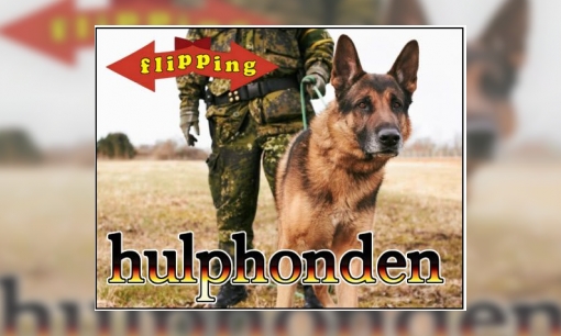 Plaatje Flipping - Hulphonden