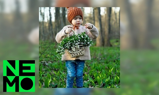 Plaatje Hoe maken planten en bomen zuurstof?