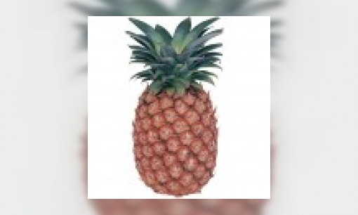 Plaatje Ananas