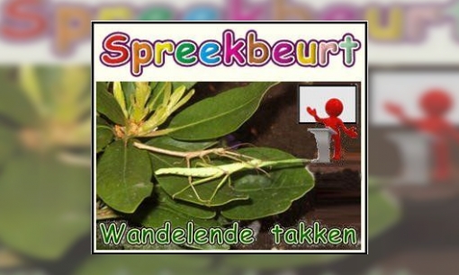 Spreekbeurt Wandelende takken