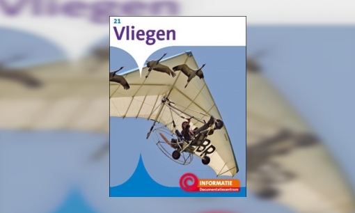 Plaatje Vliegen