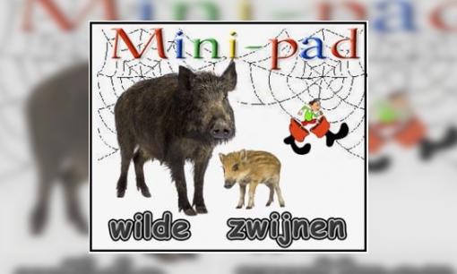 Plaatje Mini-pad wilde zwijnen