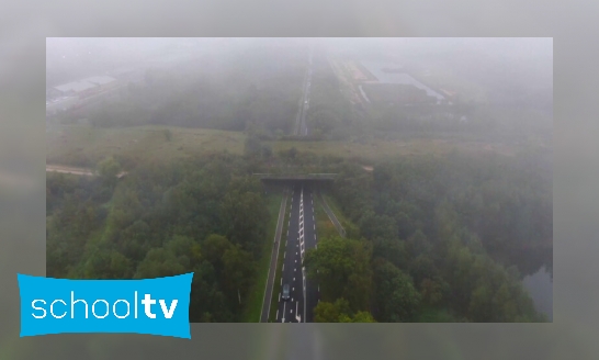 Het grootste ecoduct van Europa