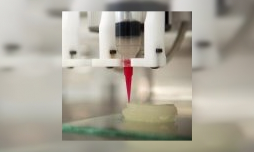 Plaatje 3D-printers, de printer van de toekomst?