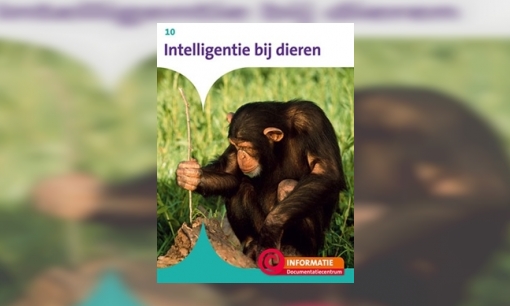 Plaatje Intelligentie bij dieren