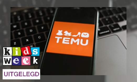 Plaatje Hoe werkt de app Temu?
