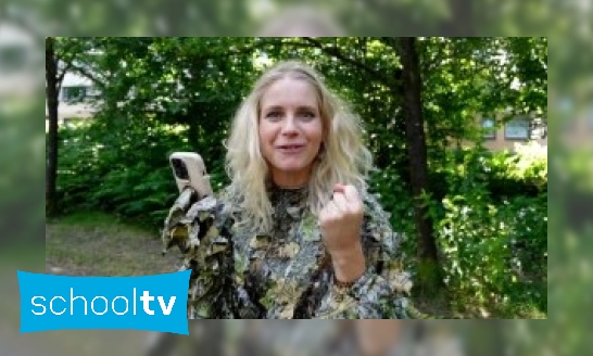 Plaatje Klokhuis Soortsafari – Op zoek naar de merel