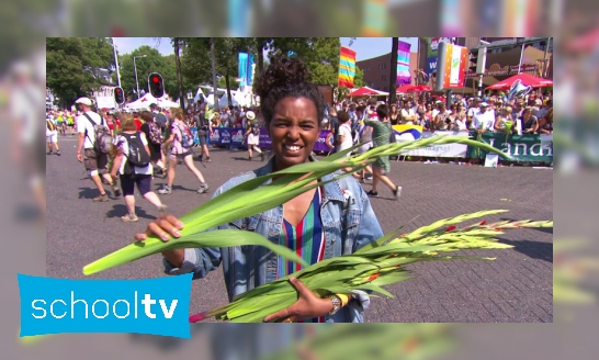 Waarom krijgen wandelaars van de Nijmeegse Vierdaagse gladiolen?