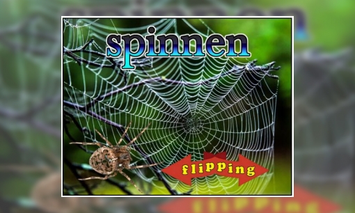 Plaatje Flipping - Spinnen