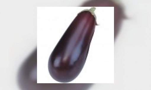 Aubergine