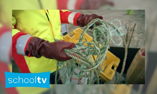 Wat gebeurt er met plastic dat aanspoelt op het strand?