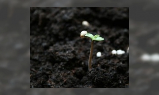 Waarom wordt een zak tuinaarde in liters vermeld en niet in kilogram?