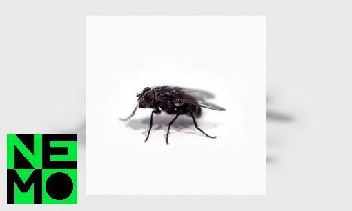 Plaatje Hoe werkt een elektrische vliegenmepper?