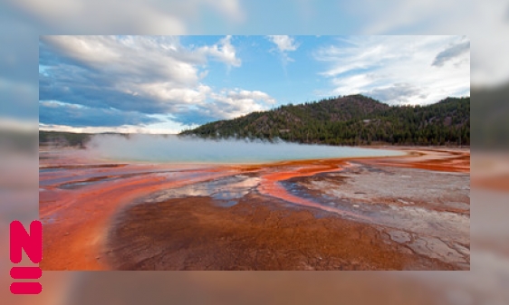 Het mysterieuze leven van archaea