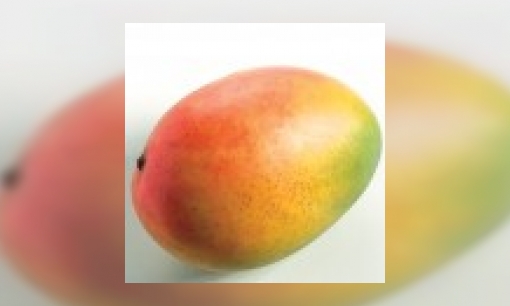 Plaatje Mango