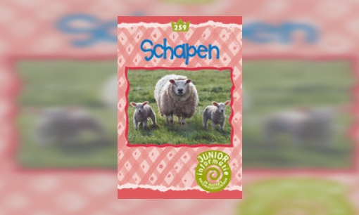 Plaatje Schapen