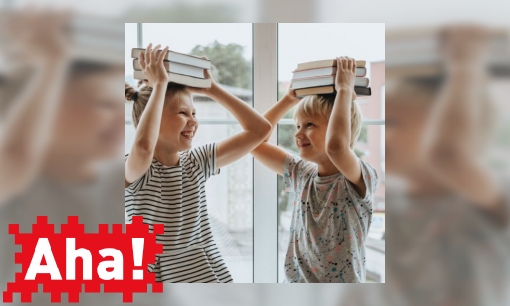 Plaatje Hoe kun je zware dingen makkelijker vervoeren?