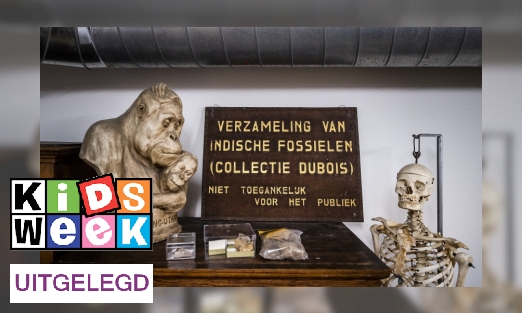 Plaatje Nederland geeft gestolen kunst terug aan Indonesië
